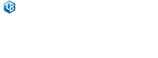 Vision City